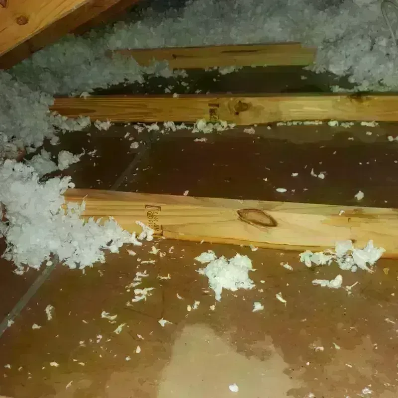 Attic Water Damage in Clifton, IL