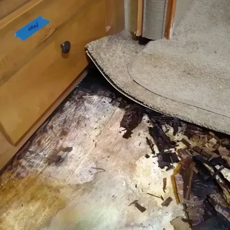 Wood Floor Water Damage in Clifton, IL